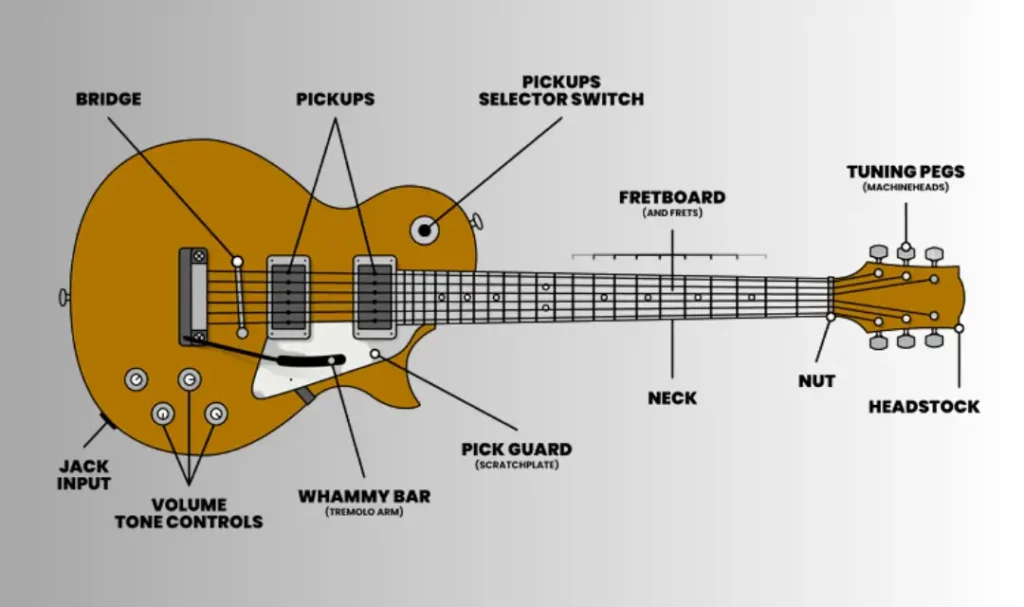 Guitar Chord Finder: The Ultimate Guide for Musicians Labeled electric guitar diagram
